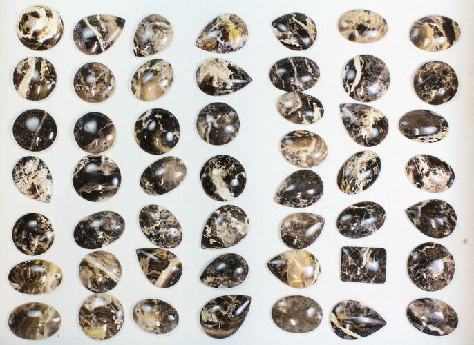 Lot: Polished Madagascar Black Opal Pendants - Pieces #138978